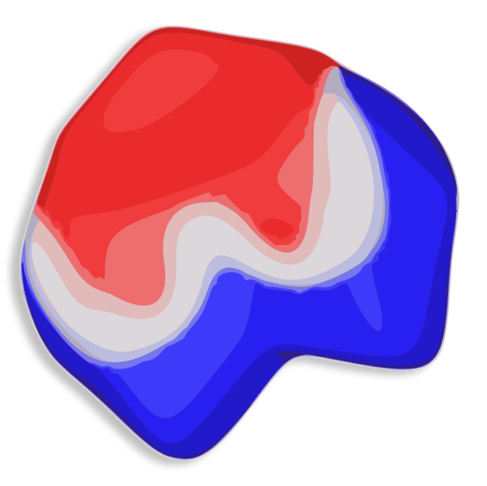 Experimental Setup